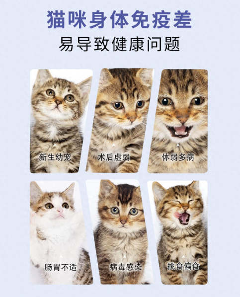入秋宠物泌尿护理全攻略，6招远离“嘘嘘”烦恼！
