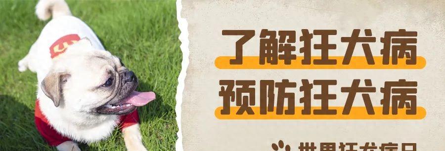 什么是狂犬病？人是如何感染狂犬病毒的？