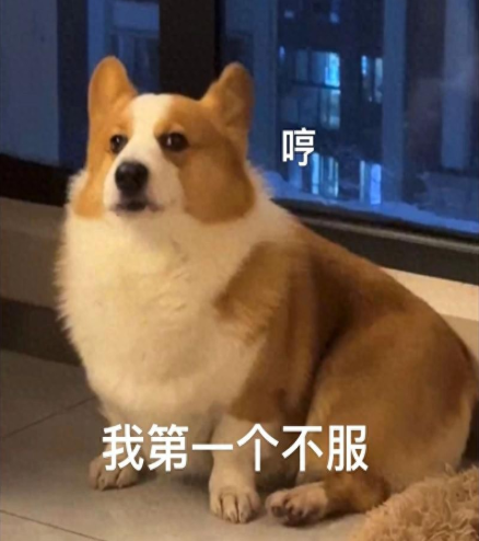 狗狗能不能喝无糖酸奶？6大“隐形毒药”食物，第5个几乎家家都有
