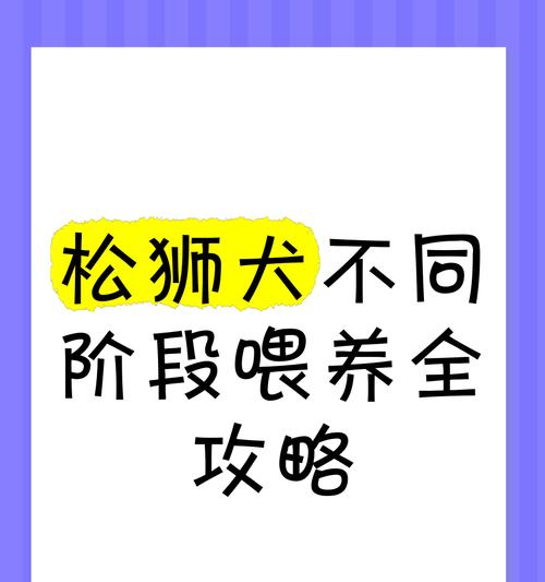 训练松狮犬的8个要点（打造顺服听话的爱宠）