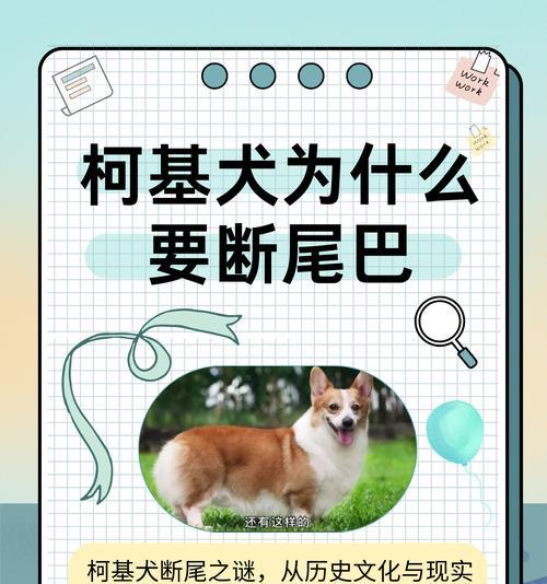 揭秘柯基犬为什么会吃自己的便便（柯基犬的吃便癖原因及防止方法）
