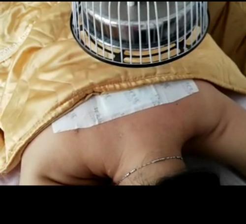 比格犬大姨妈来了怎么办？（以宠物为主，详解比格犬大姨妈的应对措施）