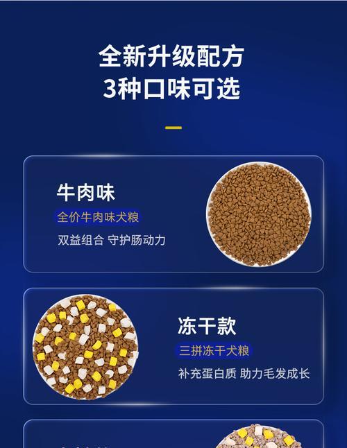 松狮犬的营养需求与犬粮选择(以宠物为主,关注松狮犬的健康)