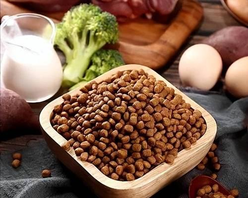 如何解决吉娃娃不吃东西的问题（宠物主人必看，帮你解决宠物饮食问题）