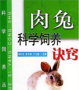 法系獭兔饲养指南（了解法系獭兔特点，打造舒适家园）