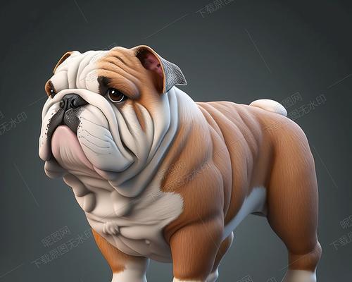 英国斗牛犬的饲养方法（打造忠诚、健康的四肢好伴侣）