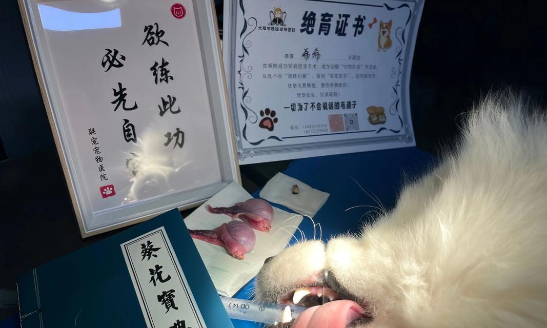 如何解决萨摩耶狗毛打结问题（一种简单有效的方法让你的萨摩耶不再打结）