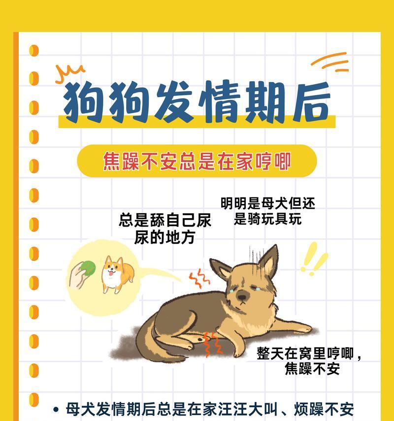 狗狗为何在生理期会发抖？（探寻狗狗生理期发抖的原因及应对方法）
