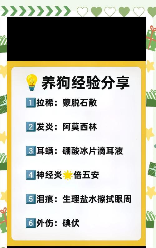 狗狗为何不让摸后腿？（探究狗狗不让人触摸其后腿的原因及应对方法）