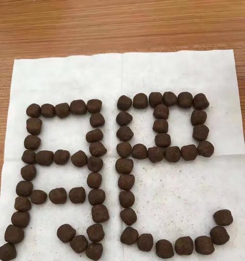 如何正确处理开封的狗粮？（关键步骤让狗粮保持新鲜可口）