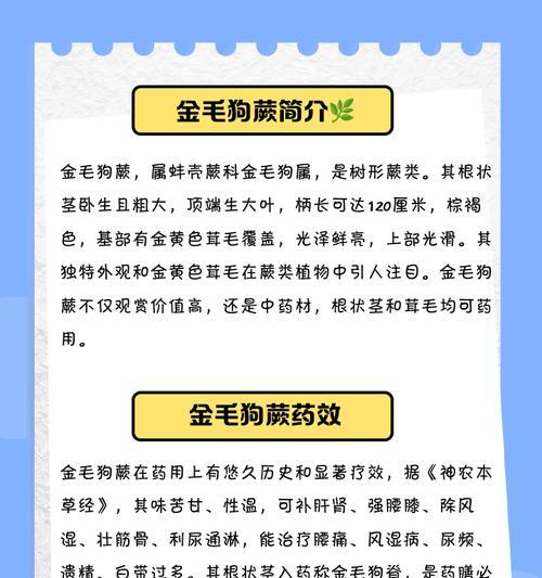 金毛犬微量元素补充的重要性（保持金毛犬健康活力的秘诀）