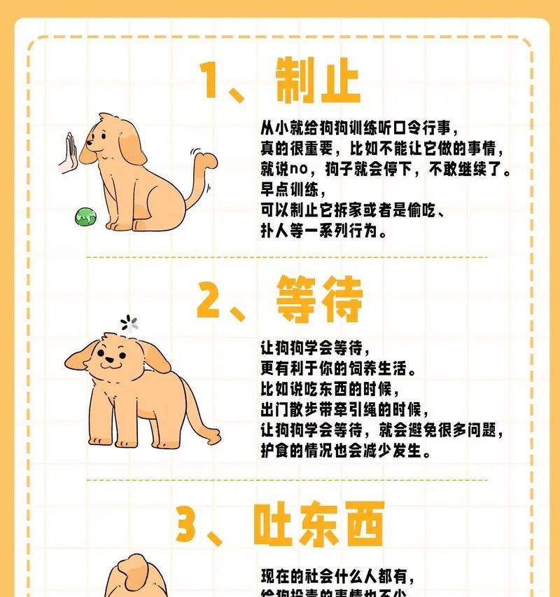 培养金毛变得更凶猛的方法（如何让金毛展现出更加凶猛的一面）