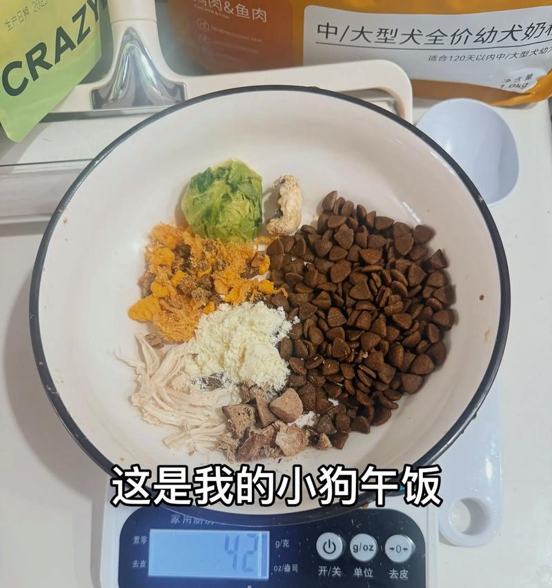 如何科学判断金毛是否变胖（金毛饮食管理的重要性及判断方法）