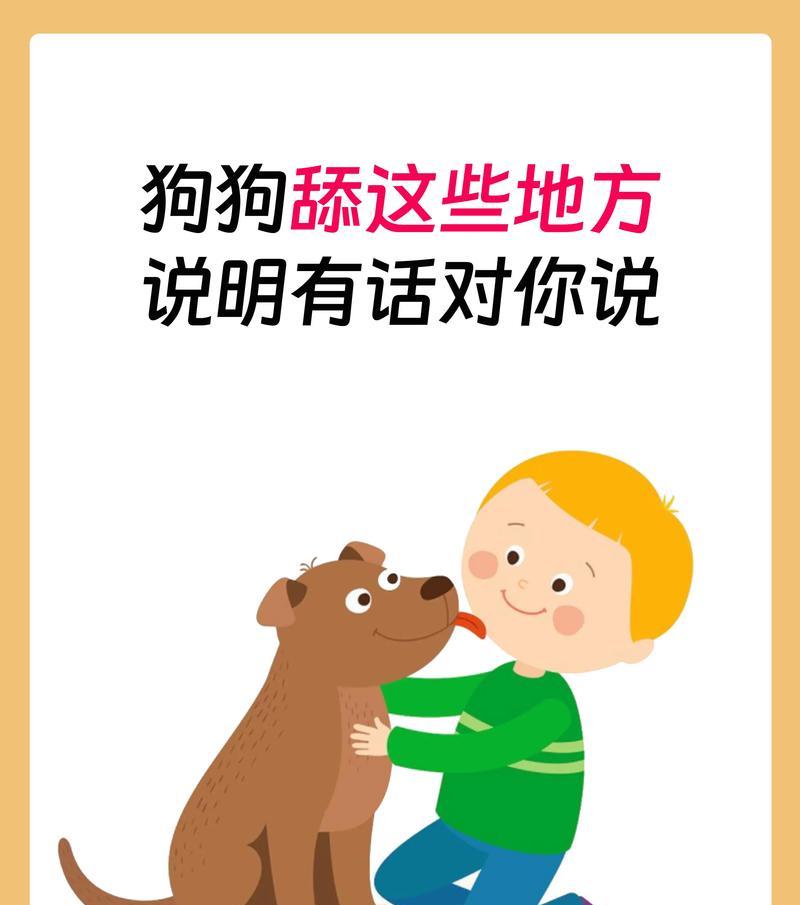 如何解决金毛舔爪子的问题