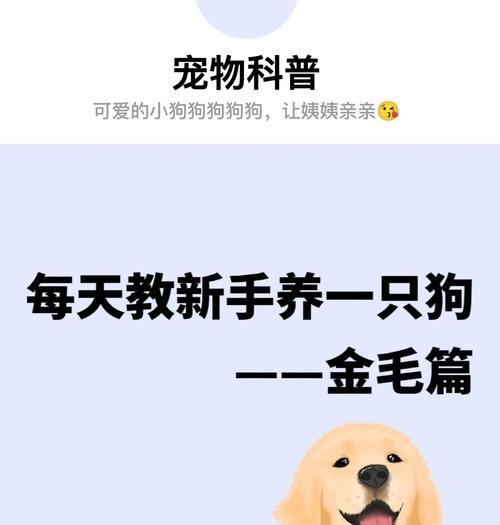 金毛犬挑食问题的解决方法（如何应对金毛犬的挑食行为）