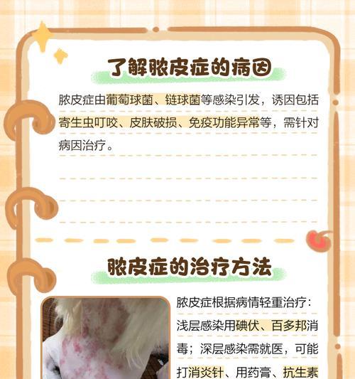 如何处理宠物泰迪身上的螨虫问题（解决泰迪狗身上螨虫带来的困扰，让宠物健康快乐）