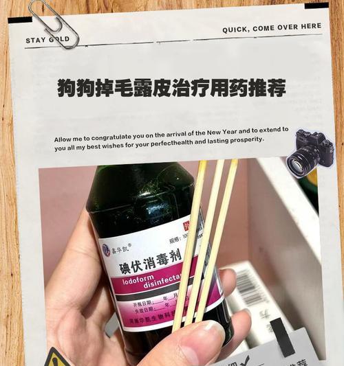 狗痒抓不停，怎么办？（寻找有效的药物缓解狗身上的瘙痒问题）