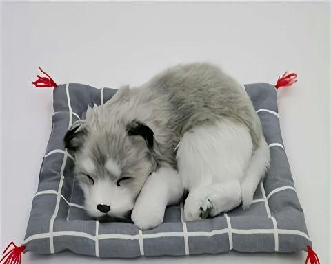 如何解决以萨摩耶有体味问题（有效方法帮助您的爱犬摆脱体味烦恼）