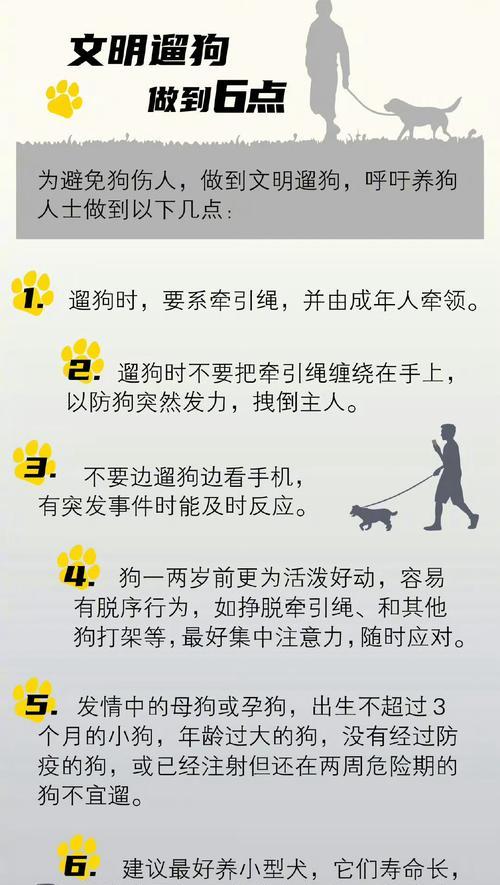 如何训练小马犬不再依赖牵引绳？（培养小马犬良好的行为习惯，摆脱对牵引绳的依赖）