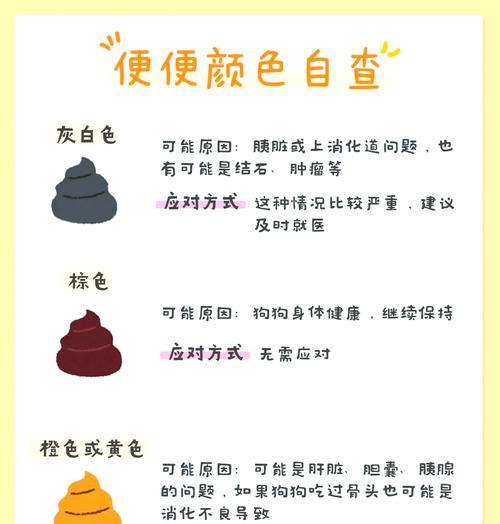 狗的排便健康指南（如何判断狗的排便是否正常以及如何维持狗的肠道健康）
