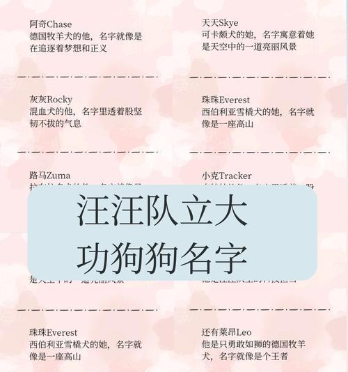 如何为以母的哈士奇起一个合适的名字（狗狗名字选择的重要性及命名灵感）