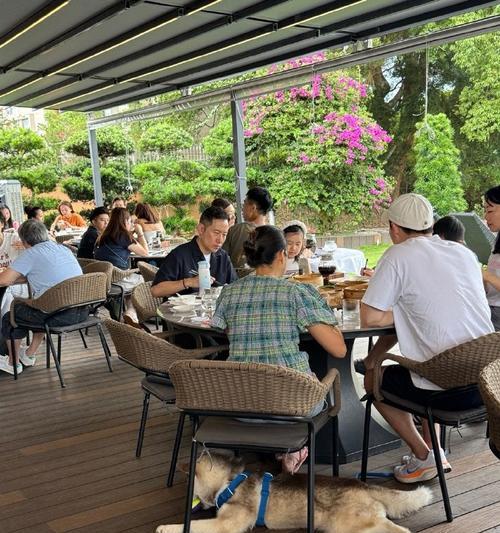 宠物进餐厅的管理与服务（为满足宠物主人的需求，如何合理安排宠物进餐厅的用餐体验）