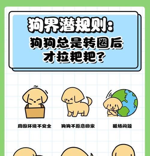 为什么狗狗会在选择房间拉粑粑？（探究狗狗选房间拉粑粑的原因及其行为背后的意义）