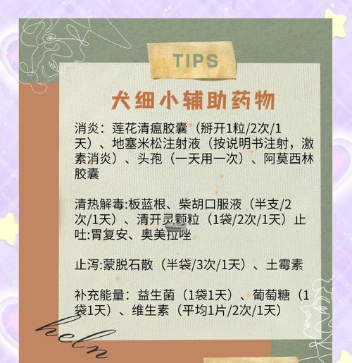 如何治愈2个月幼犬细小？（掌握关键因素，给幼犬带来健康未来）