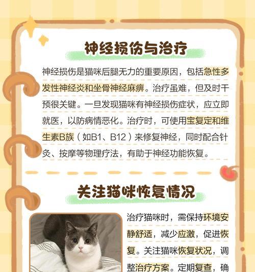 猫突然走路不稳瘫软，背后隐藏的健康危机（识别病症，及时就医）