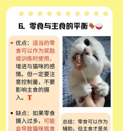 成年猫的合理喂食时间和分量(养猫要掌握的关键——科学喂食法)