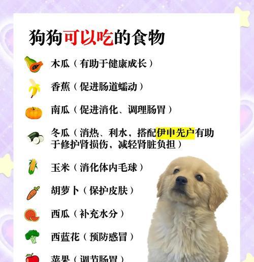 让狗狗毛发更靓丽的6种食物（营养美食助力宠物毛发焕发光彩）