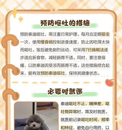 以吃什么吐什么的应对方法（了解食物特性，健康饮食调理）