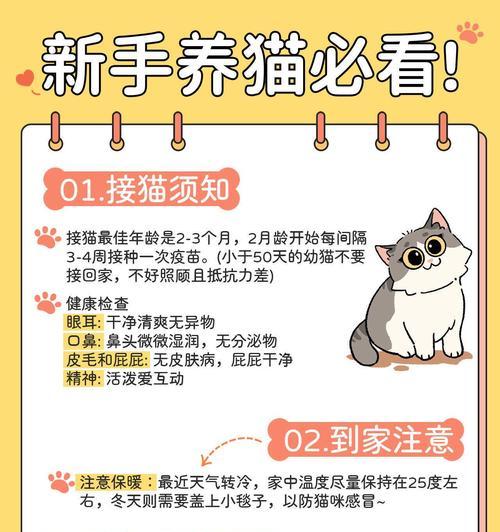 如何科学养育一个月大的小土猫（一月小土猫养成指南，健康成长必备）