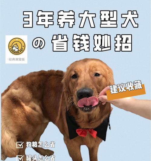 如何选择一只适合你的狗狗？（关键因素和重要考虑）