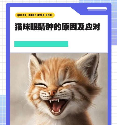 小猫的眼睛之谜（揭秘小猫眼睛的演变和功能）