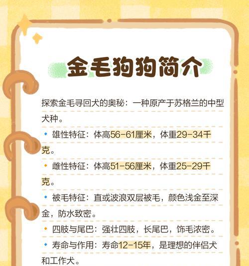 金毛为什么不吃饭？（探究金毛拒食的原因及解决方法）