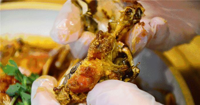 如何合理喂养一个月以内的牧羊犬？（注意4点，为您宠物的健康着想）