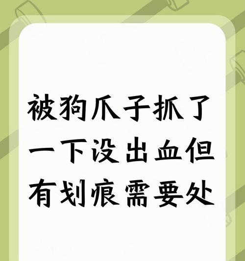 无人要的小狗（一起为这些可爱小生命找到幸福的家）