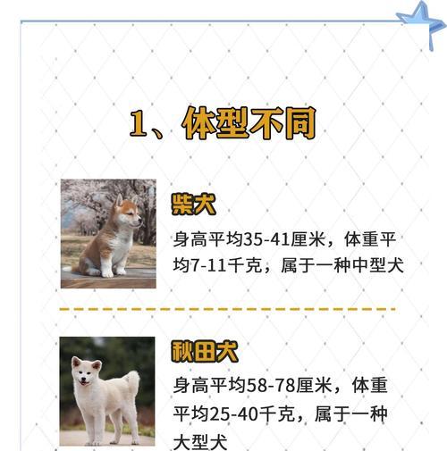 为何柴犬母的价格比公的贵？（探究柴犬母犬高价的原因及影响）