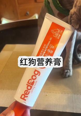 营养膏的正确喂养方法（从营养需求到喂食技巧，了解如何正确喂养营养膏）